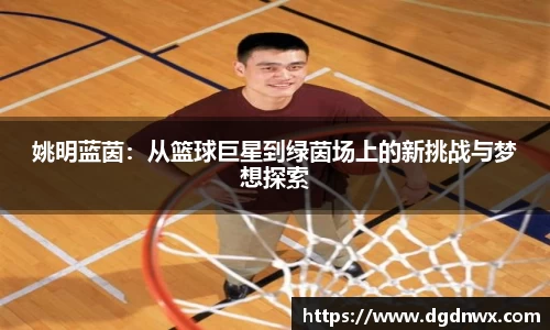 多多28官方网站