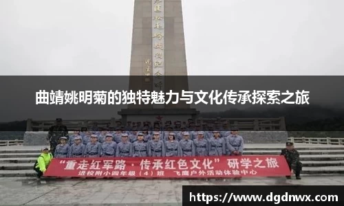 多多28官方网站