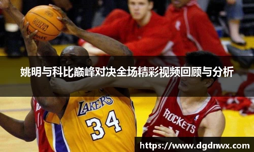 多多28官方网站